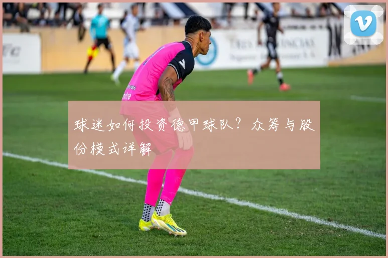 球迷如何投资德甲球队？众筹与股份模式详解