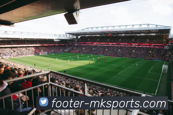 MK体育APP 封面图